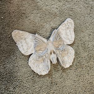 Butterfly stone